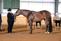 AJB_0851