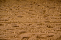 AJB_8744