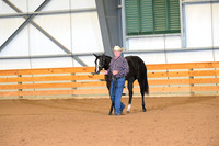16. Yearling Mares