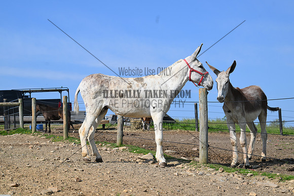 file_253945184256