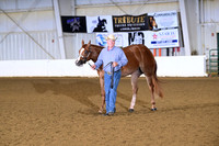 30. 2 Year Old Gelding