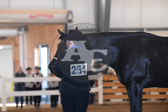 AJB_4979