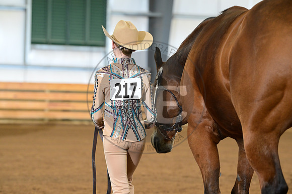 AJB_1460