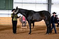 AJB_0875