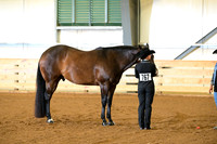 AJB_1821