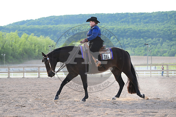 AJB_0211