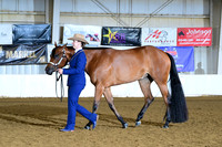 AJB_1729