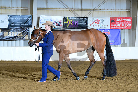AJB_1729
