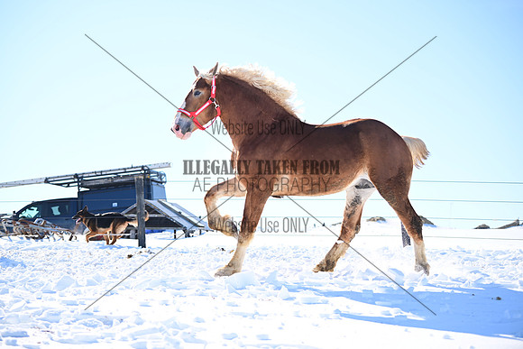 file_177359078400