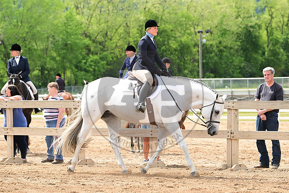 AJB_2519