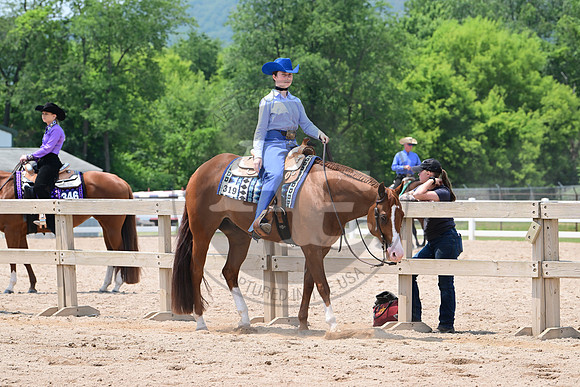 AJB_7598