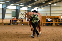 AJB_0987