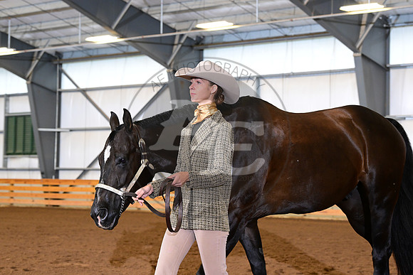 AJB_0367