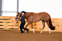AJB_0258