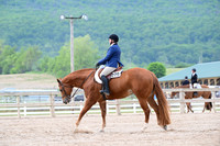 AJB_3034