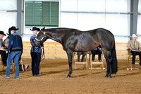 AJB_1494