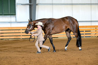 AJB_1564