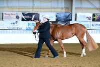 AJB_1746
