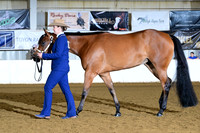 AJB_1625