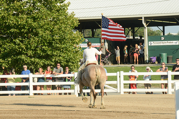 American Flag-9