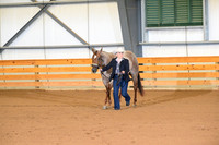 14. Amatuer Aged Mares