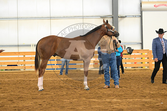 AJB_2209