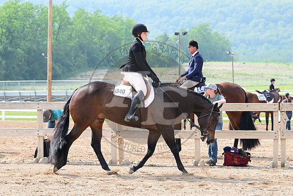 AJB_6417
