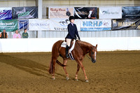 12. Amateur Equitation Level 2