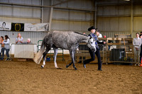 AJB_8318