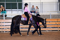 AJB_3179