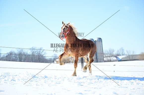 file_177340076544