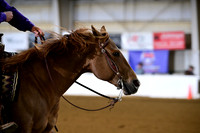 AJB_0764