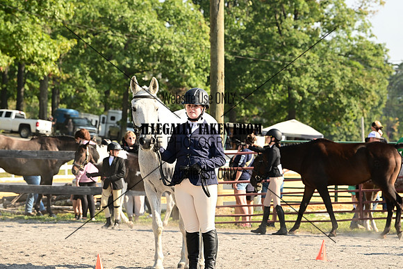 AJB_0261