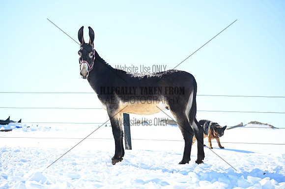 file_177081492480