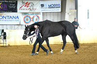 AJB_1626