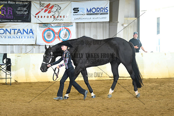 AJB_1626