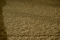 AJB_9354