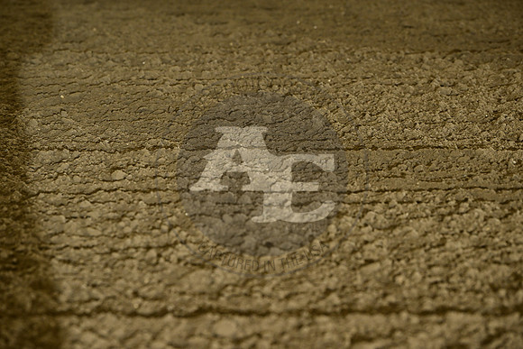AJB_9354