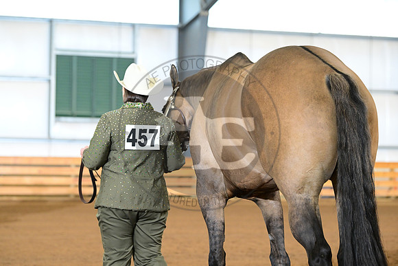 AJB_1041