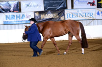 25. Amatuer Aged Mares