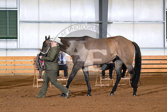 AJB_0839