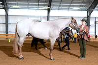 AJB_5496