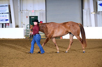 46. Youth Aged Mares