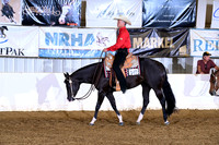 AB2_9508