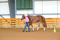 12. Amatuer 2 Year Old Mares