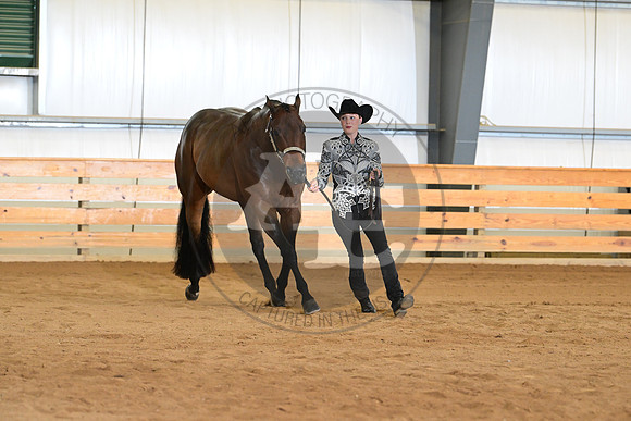 AJB_6016
