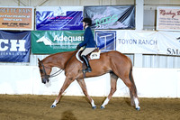 AJB_9572
