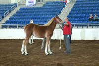 AJB_6349