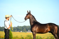 AJB_0521