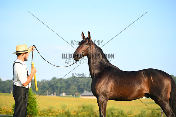 AJB_0521